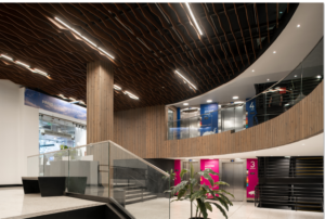 Paris-woodbaffle-parametrico