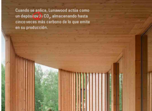 corregir-texto2